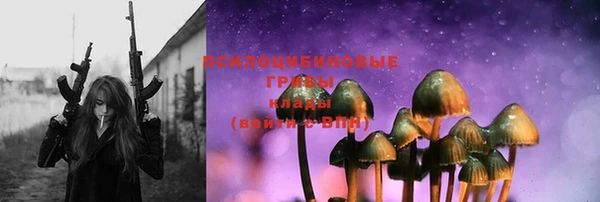 PSILOCYBIN Куйбышев