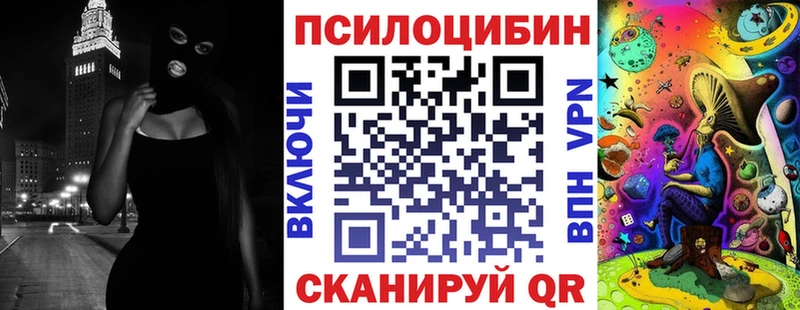площадка телеграм  Слободской  Галлюциногенные грибы Psilocybine cubensis 