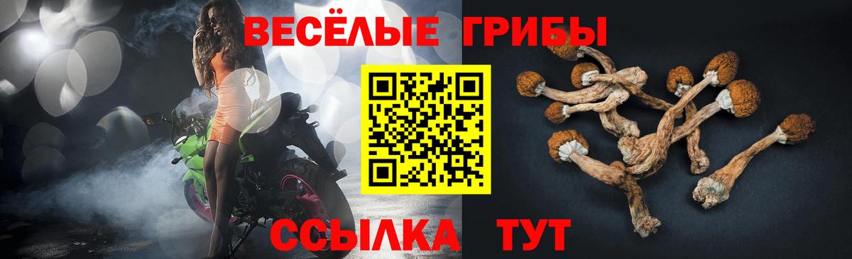 Галлюциногенные грибы Psilocybe  Псилоцибиновые грибы GOLDEN TEACHER  Вход с VPN  Слободской 